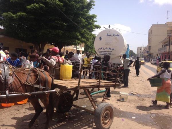 [Photos] Pénurie d’eau dans la capitale: Touba au secours de Dakar