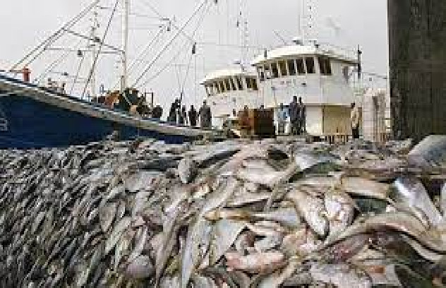 Baïdy Sow, représentant de l’ITF pour l’Afrique francophone: «Nos ressources vont s’épuiser si on ne réglemente pas la pêche»