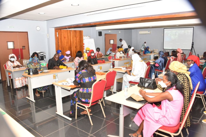 Cellule Genre du MCTDAT et USAID: Un atelier pour le renforcement du leadership féminin