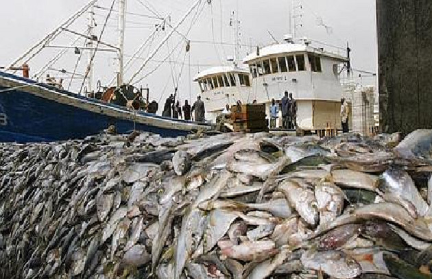 Pêche Inn dans les pays membres de la Csrp: Les pertes estimées à 1,9 milliard d’euros par an