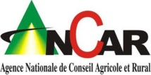 Tentative d'extorsion de fonds et abus de confiance: L'Ancar saisit le Procureur de la République 