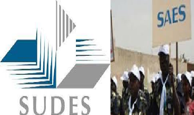 Crise à l’institut de français pour les étudiants étrangers de l’UCAD:Le Sudes et le SAES se tirent dessus