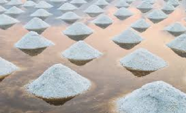 Valorisation de l’or blanc dans le Saloum: Vers une plateforme de commercialisation de sel iodé de qualité