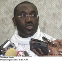 Sapco: Les effarantes découvertes sur la gestion de Ndiouga Sakho
