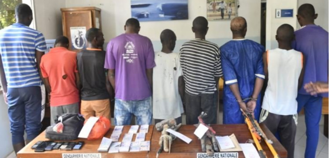 Thiès: La gendarmerie saisit un butin à faire pâlir les gros caïds Thiès: La gendarmerie saisit un butin à faire pâlir les gros caïds