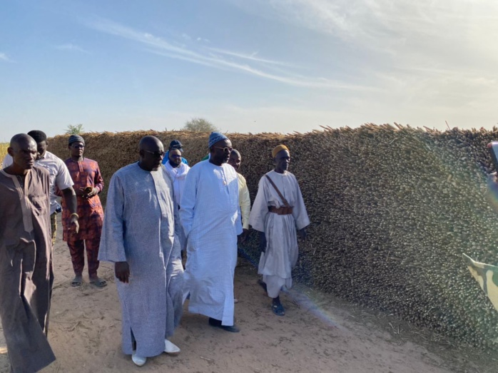  PHOTOS+VIDEO:  Travaux champêtres accomplis avec la satisfaction de Serigne Cheikh Saliou Mbacké
