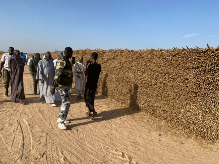  PHOTOS+VIDEO:  Travaux champêtres accomplis avec la satisfaction de Serigne Cheikh Saliou Mbacké