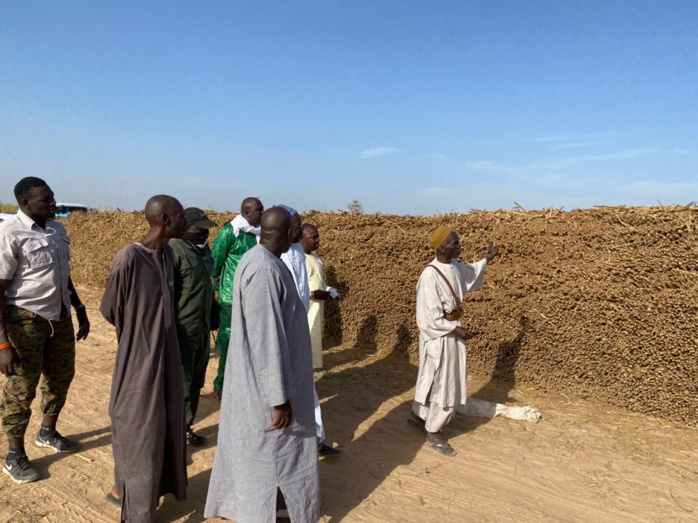  PHOTOS+VIDEO:  Travaux champêtres accomplis avec la satisfaction de Serigne Cheikh Saliou Mbacké