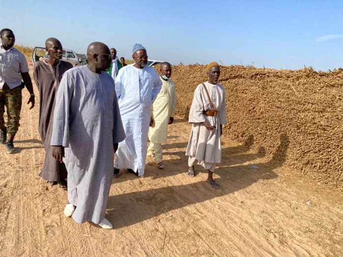  PHOTOS+VIDEO:  Travaux champêtres accomplis avec la satisfaction de Serigne Cheikh Saliou Mbacké