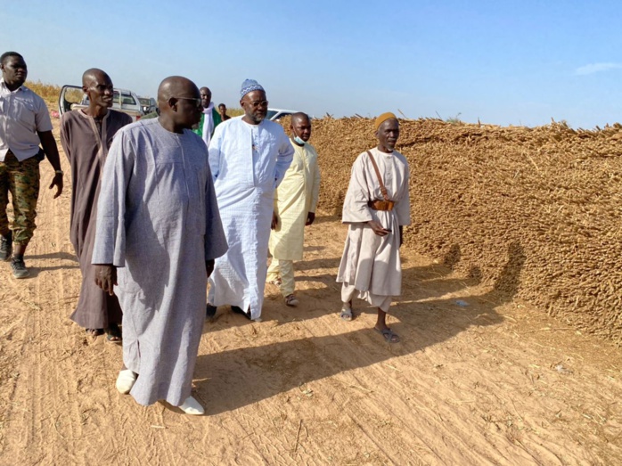 PHOTOS+VIDEO:  Travaux champêtres accomplis avec la satisfaction de Serigne Cheikh Saliou Mbacké  PHOTOS+VIDEO:  Travaux champêtres accomplis avec la satisfaction de Serigne Cheikh Saliou Mbacké