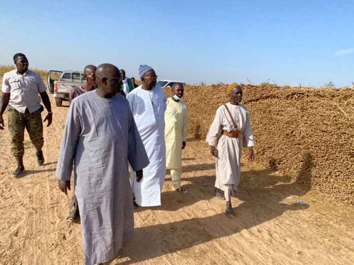  PHOTOS+VIDEO:  Travaux champêtres accomplis avec la satisfaction de Serigne Cheikh Saliou Mbacké