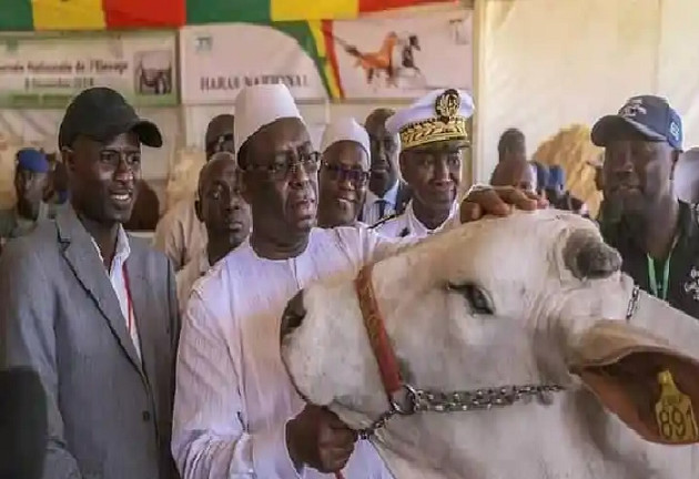3 jours sans cours pour accueillir les participants à la Journée de l’Elevage de Dahra : Les syndicalistes « sanctionnent » Mamadou Diallo, son IEF
