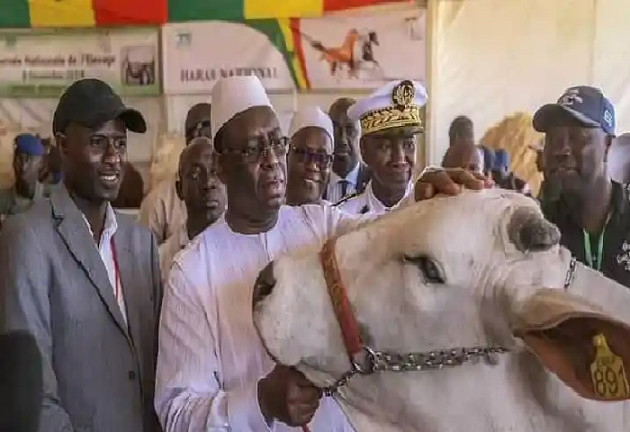 3 jours sans cour pour accueillir les participants à la journée de l’élevage de Dahra : Les syndicalistes « sanctionnent » Mamadou Diallo son IEF