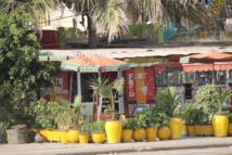 Affaire des cinq lesbiennes: Le préfet de Dakar ferme le bar Piano Piano et retire au tenancier sa licence