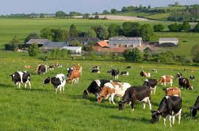 Utilisation abusive des antibiotiques: Près de 40 000 kg utilisés dans le secteur de l’élevage en 2021