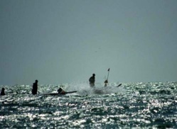 Journée mondiale de la pêche : « Pour une sécurité alimentaire qui passe par le bannissement des mauvaises pratiques »