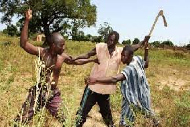 Pour la diminution des violences entre éleveurs et agriculteurs: Un CDD spécial sur la réglementation du parcours du bétail, tenu à Diourbel