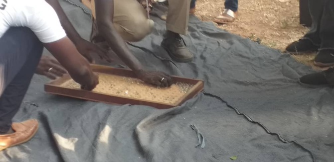 Gambie présidentielle: Le décompte en images Gambie présidentielle: Le décompte en images