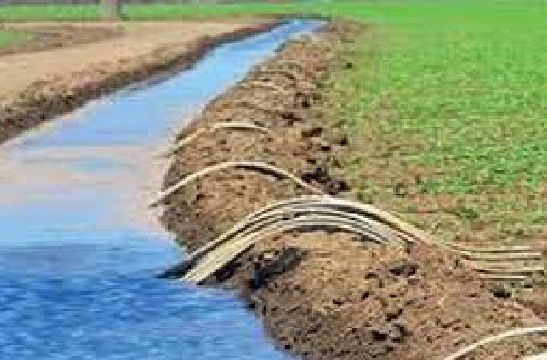 Gestion et maintenance des installations hydro-agricoles dans l’Anambé: Vers la création de deux fonds