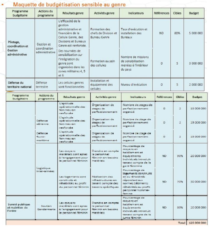 Intégration du Genre au Ministère des Forces armées (MFA) : le bilan de ses réalisations, ses contraintes et perspectives