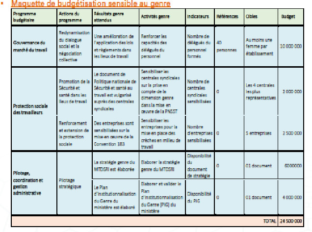 Ministère du Travail, du Dialogue social et des Relations avec les Institutions (MTDSRI) : Réalisations, contraintes et perspectives