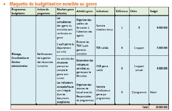 Intégration Genre au Ministère des Finances et du Budget: Réalisation et contraintes
