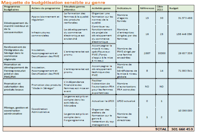Ministère du Commerce et des Petites et Moyennes entreprises: Bilan, contraintes et perspectives d’un secteur clé pour le genre