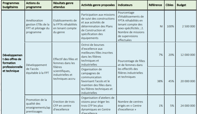 Ministère de l'Emploi, de la Formation professionnelle, de l'Apprentissage et de l'Insertion (MEFPAI): Entre réalisations, contraintes et défis