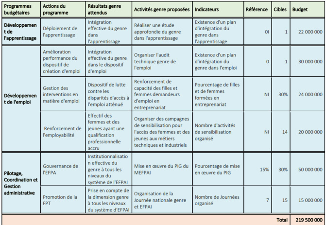 Ministère de l'Emploi, de la Formation professionnelle, de l'Apprentissage et de l'Insertion (MEFPAI): Entre réalisations, contraintes et défis