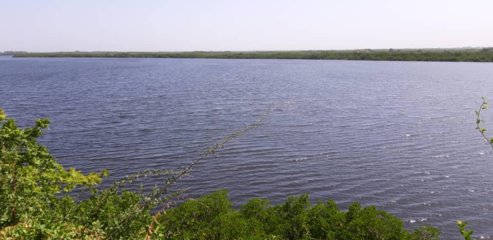 Toubacouta: Une mangrove de 7000 ha, Jorom Bou Mak, une île vieille de 3 siècles, des...