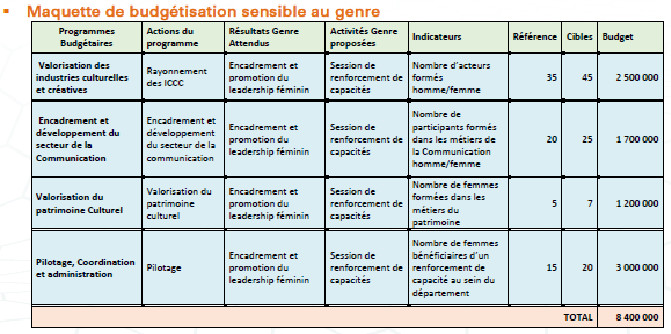 Bilan Genre du Ministère de la Culture et de la Communication: La Covid impacte les activités, des contraintes et de nombreux défis notés