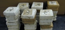 Prise spectaculaire de la Douane : 40 kg de drogue dure d’une valeur de 3 milliards saisis à Kidira