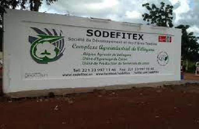 Bonne nouvelle pour les travailleurs de la Sodefitex: La Direction générale renonce à la fermeture de l’usine de Kolda