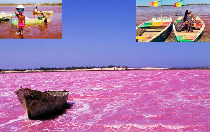 Impacts de Covid-19 et fraîcheur au Lac Rose: Déclin des activités et des petits business autour du tourisme