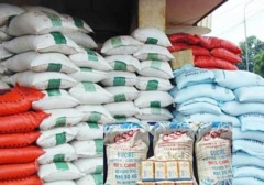 Distribution des quotas de riz pour le Magal 2014 : Des faussaires démasqués, l’un d’eux interpellé