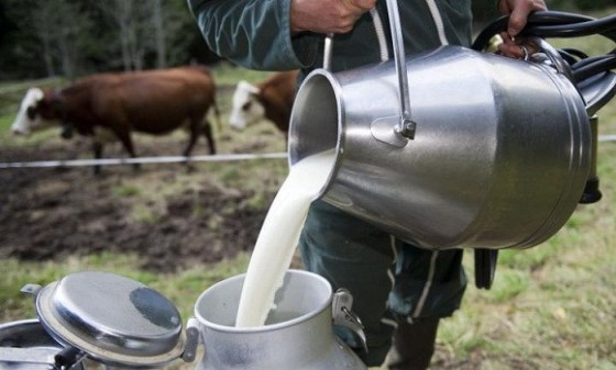 Production du lait: Seuls 2 à 3 % du lait sont collectés dans l’espace Cedeao