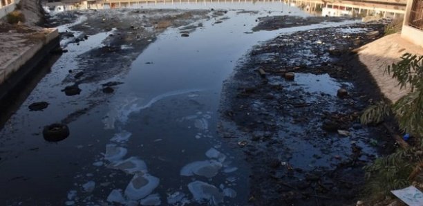 Bassin de Dalifort: Une dépollution en perspective