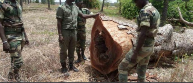 Accrochage en Gambie / 9 militaires sénégalais portés disparus: L’armée suspecte le MFDC