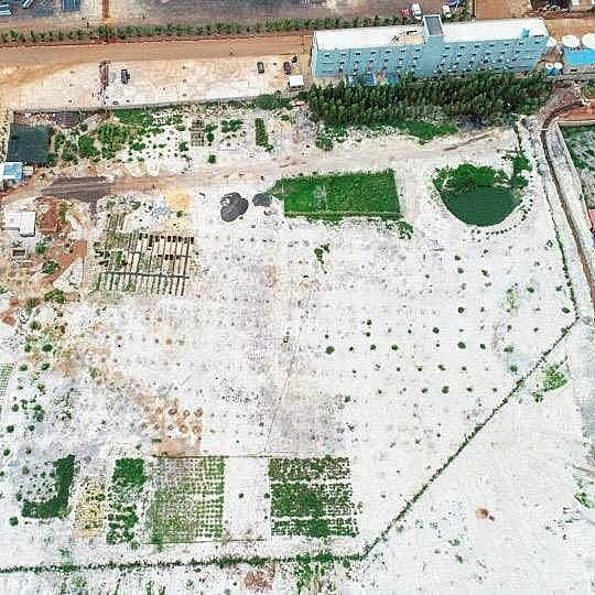 700.000 plants d’arbres forestiers et fruitiers produits par la pépinière de la société Fabrimetal Sénégal 700.000 plants d’arbres forestiers et fruitiers produits par la pépinière de la société Fabrimetal Sénégal