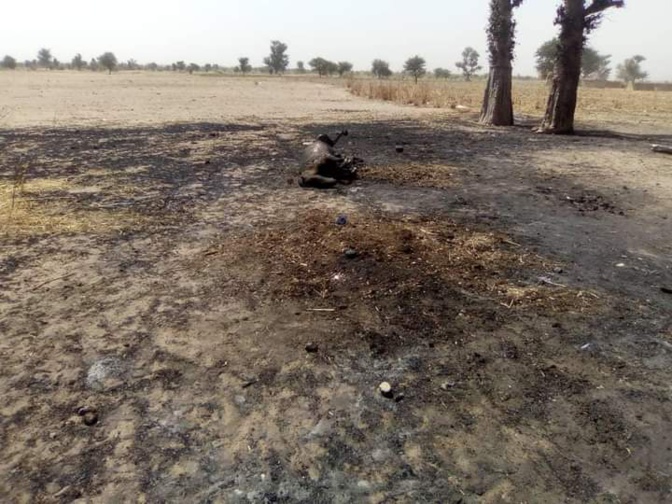 Incendie à Kaolack: Les flammes ravagent le village de Ndiokél