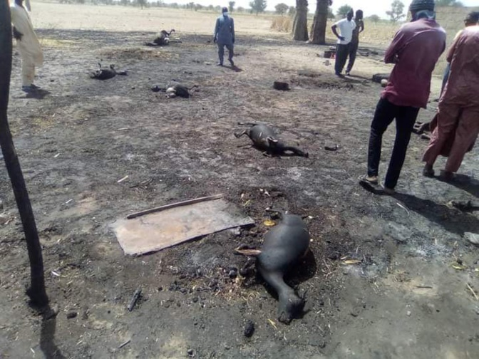 Incendie à Kaolack: Les flammes ravagent le village de Ndiokél