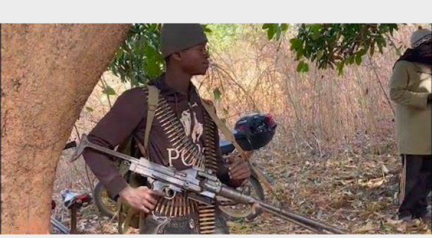 Gambie : Le MFDC libère les 7 soldats sénégalais (Vidéo)