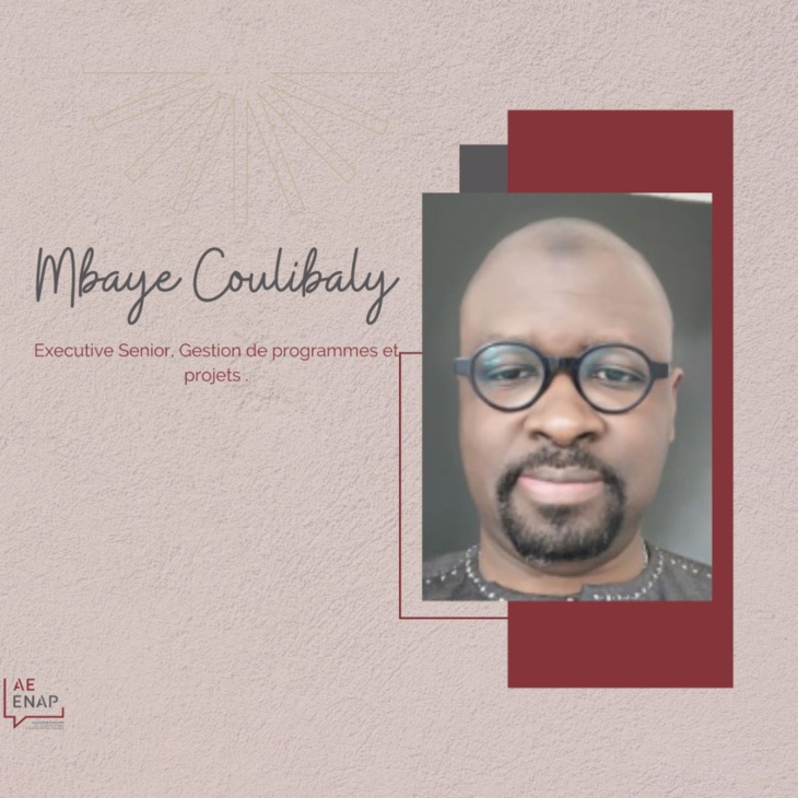 Mbaye Coulibaly, Ingénieur informaticien de formation: Un haut cadre dans le giron de l’administration publique au Sénégal