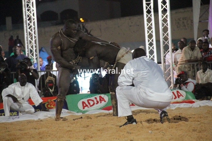 21 photos - Vendredi 31 janvier 2014: Une journée parfaite pour Modou Lô