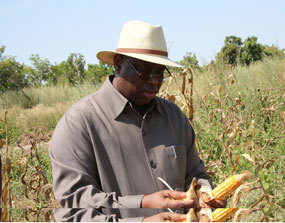 Pour enterrer la Goana de Wade, Macky Sall table sur une production de 1,8 million de tonnes  de riz en 2017