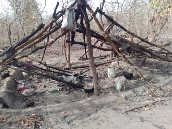 Casamance: L'incroyable saisie de l'Armée sur les bases rebelles. Regardez!