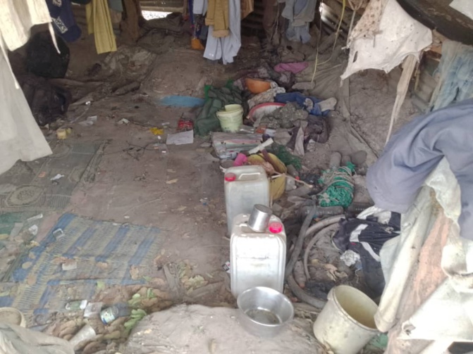 Casamance: L'incroyable saisie de l'Armée sur les bases rebelles. Regardez! Casamance: L'incroyable saisie de l'Armée sur les bases rebelles. Regardez!