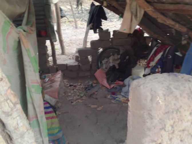 Casamance: L'incroyable saisie de l'Armée sur les bases rebelles. Regardez! Casamance: L'incroyable saisie de l'Armée sur les bases rebelles. Regardez!