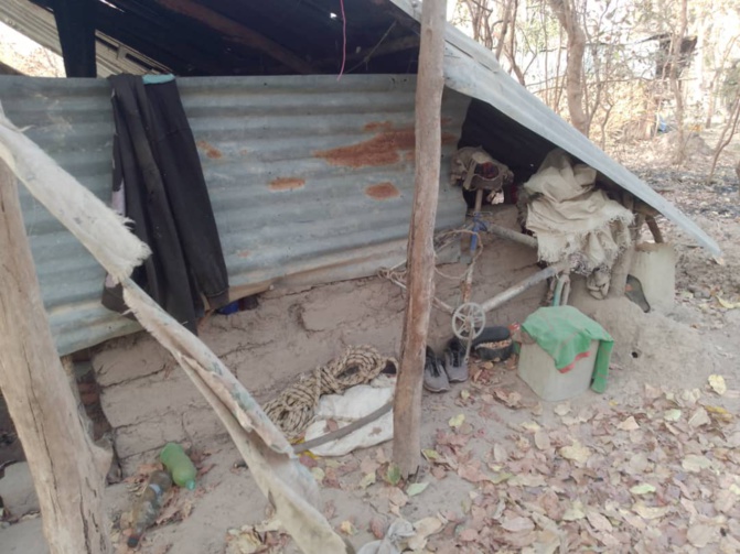 Casamance: L'incroyable saisie de l'Armée sur les bases rebelles. Regardez!