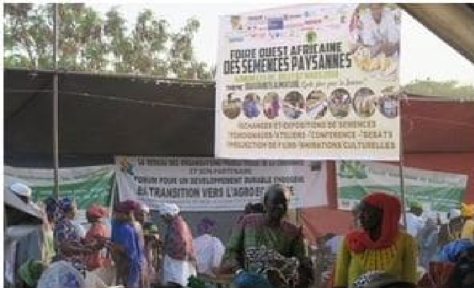 Promotion de l’agro-écologie en Afrique de l’Ouest : Djimini ou le refus d’un néocolonialisme par le biais de la semence